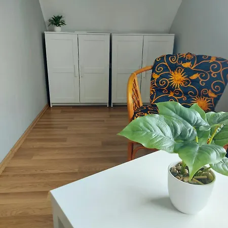 Molo Apartman * 鲍洛通费尼韦什